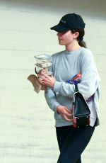 EMMY ROSSUM Out Shopping in Los Angeles 09/21/2019