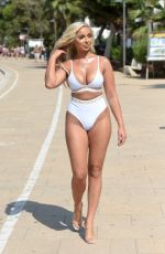 GEORGIA COLE in Bikini at a Beach in Ibiza 09/18/2019