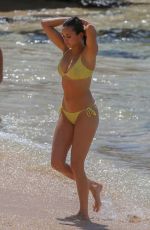 NINA DOBREV in Yellow Bikini at a Beach in Maui 09/02/2019