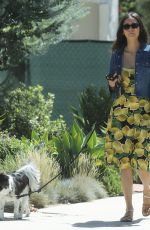 NINA DOBREV Out with Her Dog in Hollywood 09/08/2019