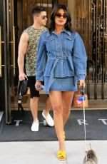 PRIYANKA CHOPRA and Nick Jonas Out with Their Dog in New York 08/31/2019