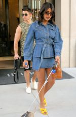 PRIYANKA CHOPRA and Nick Jonas Out with Their Dog in New York 08/31/2019