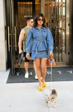 PRIYANKA CHOPRA and Nick Jonas Out with Their Dog in New York 08/31/2019