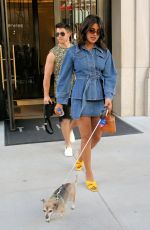 PRIYANKA CHOPRA and Nick Jonas Out with Their Dog in New York 08/31/2019