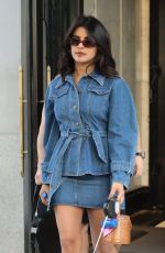 PRIYANKA CHOPRA and Nick Jonas Out with Their Dog in New York 08/31/2019