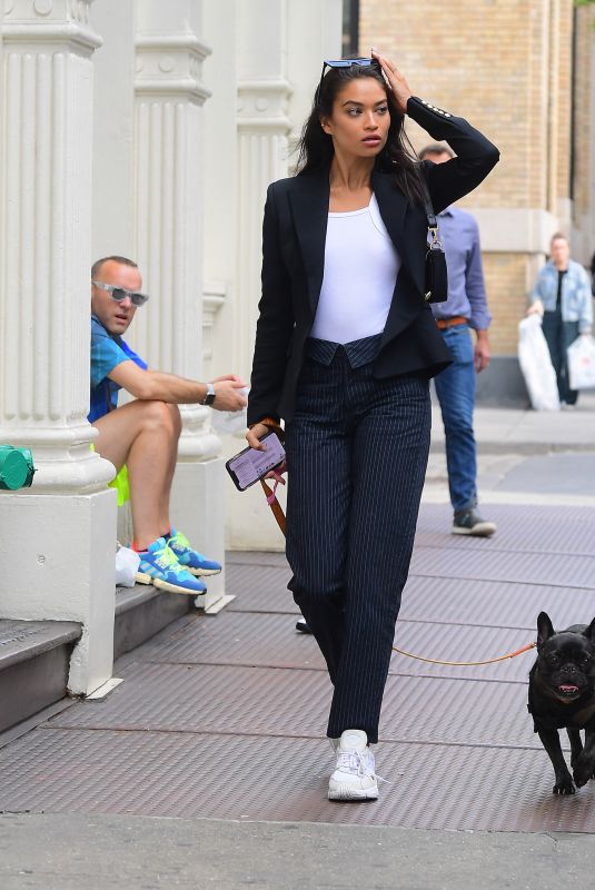 SHANINA SHAIK Out with Her Dog in New York 09/09/2019