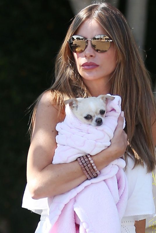 SOFIA VERGARA Out with Her Dog in Los Angeles 08/31/2019