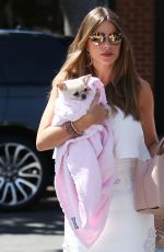 SOFIA VERGARA Out with Her Dog in Los Angeles 08/31/2019