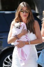 SOFIA VERGARA Out with Her Dog in Los Angeles 08/31/2019