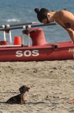 VITTORIA CERETTI in Bikini at a Beach in Forte Dei Marmi 09/03/2019