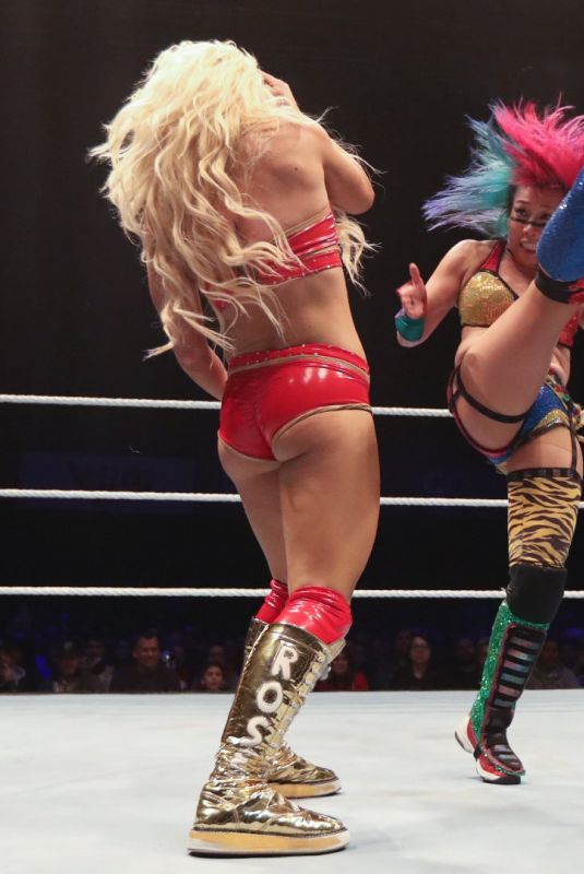 WWE - Live in Santiago, Chile and Buenos Aires