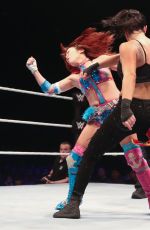 WWE - Live in Santiago, Chile and Buenos Aires