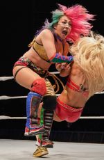 WWE - WWE Live in Colombia, Peru and Panama
