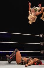 WWE - WWE Live in Colombia, Peru and Panama