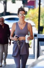 ALESSANDRA AMBROSIO Out and About in Los Angeles 10/05/2019