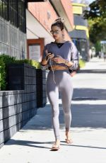 ALESSANDRA AMBROSIO Out and About in Los Angeles 10/05/2019