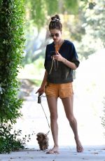 ALESSANDRA AMBROSIO Out with Her Dog in Brentwood 10/05/2019