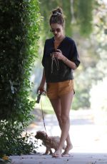 ALESSANDRA AMBROSIO Out with Her Dog in Brentwood 10/05/2019