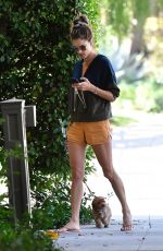 ALESSANDRA AMBROSIO Out with Her Dog in Brentwood 10/05/2019