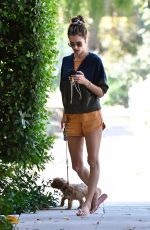 ALESSANDRA AMBROSIO Out with Her Dog in Brentwood 10/05/2019