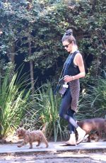 ALESSANDRA AMBROSIO Out with her Dogs in Brentwood 10/21/2019