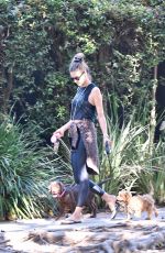 ALESSANDRA AMBROSIO Out with her Dogs in Brentwood 10/21/2019