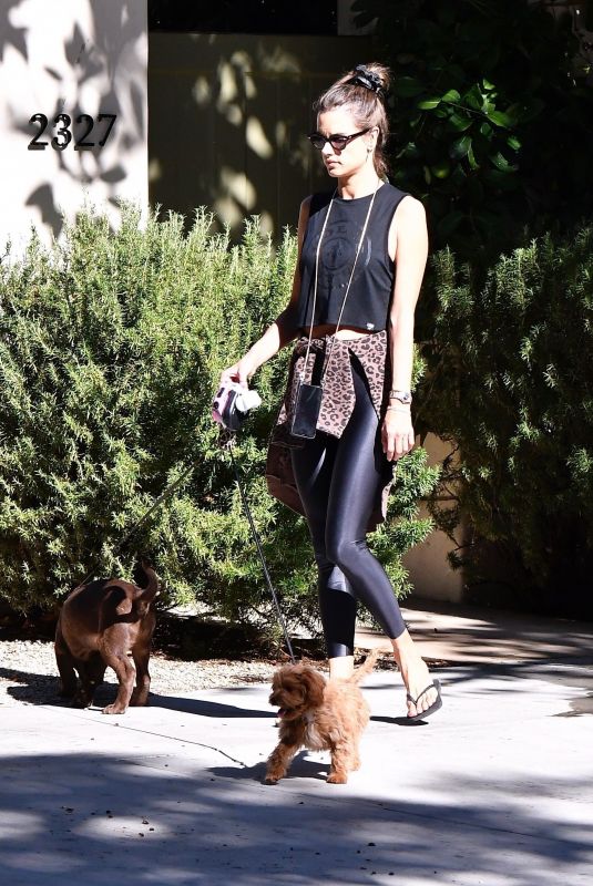 ALESSANDRA AMBROSIO Out with her Dogs in Brentwood 10/21/2019