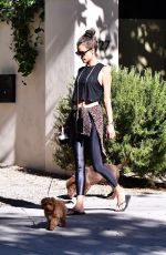 ALESSANDRA AMBROSIO Out with her Dogs in Brentwood 10/21/2019