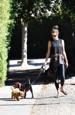 ALESSANDRA AMBROSIO Out with her Dogs in Brentwood 10/21/2019