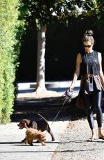 ALESSANDRA AMBROSIO Out with her Dogs in Brentwood 10/21/2019