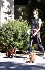 ALESSANDRA AMBROSIO Out with her Dogs in Brentwood 10/21/2019