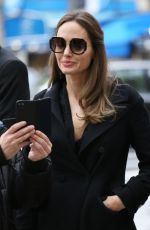 ANGELINA JOLIE Out and About in Paris 10/20/2019