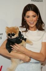 ASHLEY GREENE at A Time for Heroes Family Festival in Los Angeles 10/27/2019