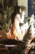 DAKOTA JOHNSON Celebrates Her 30th Birthday in Malibu 10/05/2019 