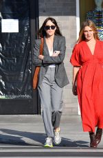 DAKOTA JOHNSON Out for Lunch with a Friend in Los Angeles 10/09/2019