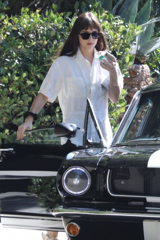 DAKOTA JOHNSON Out in Malibu 10/04/2019