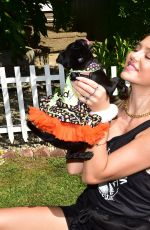 DELILAH and AMELIA HAMLIN Out with Their Dogs in Beverly Hills 10/14/2019