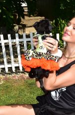 DELILAH and AMELIA HAMLIN Out with Their Dogs in Beverly Hills 10/14/2019