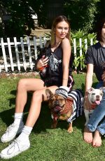 DELILAH and AMELIA HAMLIN Out with Their Dogs in Beverly Hills 10/14/2019