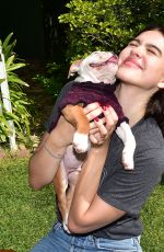 DELILAH and AMELIA HAMLIN Out with Their Dogs in Beverly Hills 10/14/2019