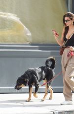 EMILY RATAJKOWSKI Out with Her Dog Colombo in New York 10/07/22019