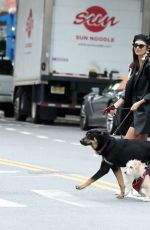 EMILY RATAJKOWSKI Out with Her Dog Colombo in New York 10/12/2019