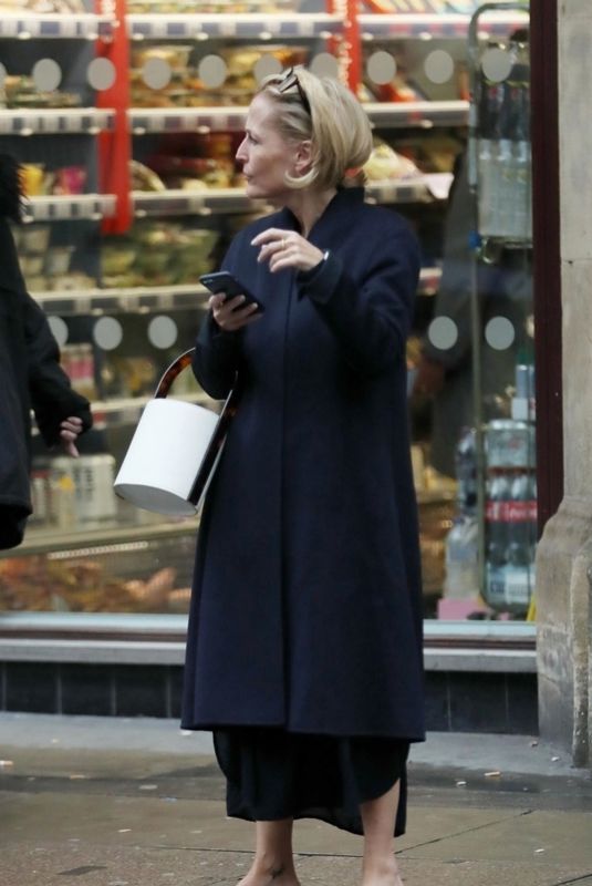 GILLIAN ANDERSON Leaves Sainsbury