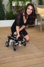JESSICA LOWNDES at Hallmark