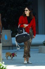 KATHARINE MCPHEE Out with Her Dog in West Hollywood 10/23/2019
