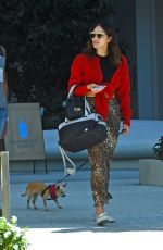 KATHARINE MCPHEE Out with Her Dog in West Hollywood 10/23/2019