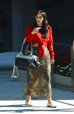 KATHARINE MCPHEE Out with Her Dog in West Hollywood 10/23/2019