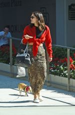 KATHARINE MCPHEE Out with Her Dog in West Hollywood 10/23/2019