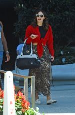 KATHARINE MCPHEE Out with Her Dog in West Hollywood 10/23/2019