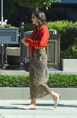 KATHARINE MCPHEE Out with Her Dog in West Hollywood 10/23/2019